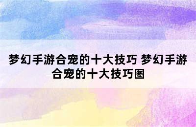 梦幻手游合宠的十大技巧 梦幻手游合宠的十大技巧图